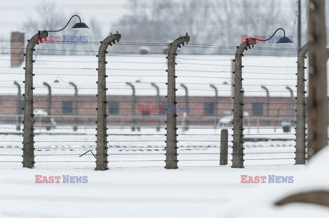 Miejsce Pamięci i Muzeum Auschwitz-Birkenau