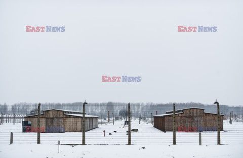 Miejsce Pamięci i Muzeum Auschwitz-Birkenau