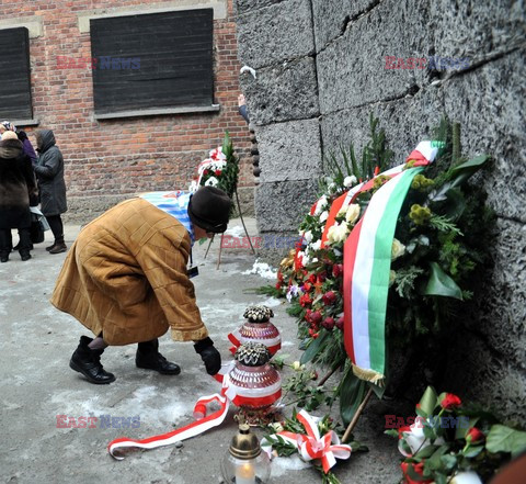 70. rocznica wyzwolenia Obozu koncentracyjnego Auschwitz Birkenau