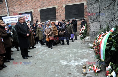 70. rocznica wyzwolenia Obozu koncentracyjnego Auschwitz Birkenau