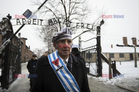 70. rocznica wyzwolenia Obozu koncentracyjnego Auschwitz Birkenau