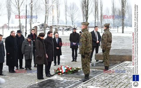 70. rocznica wyzwolenia Obozu koncentracyjnego Auschwitz Birkenau