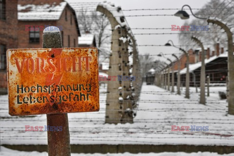 70. rocznica wyzwolenia Obozu koncentracyjnego Auschwitz Birkenau