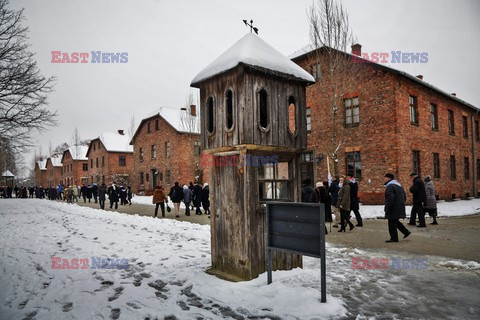 70. rocznica wyzwolenia Obozu koncentracyjnego Auschwitz Birkenau