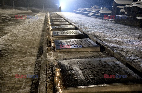 70. rocznica wyzwolenia Obozu koncentracyjnego Auschwitz Birkenau