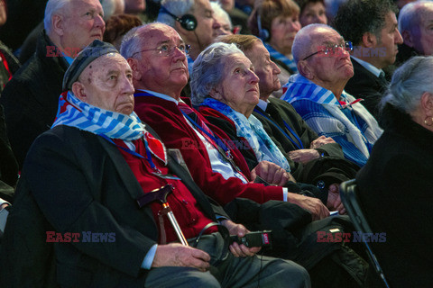 70. rocznica wyzwolenia Obozu koncentracyjnego Auschwitz Birkenau