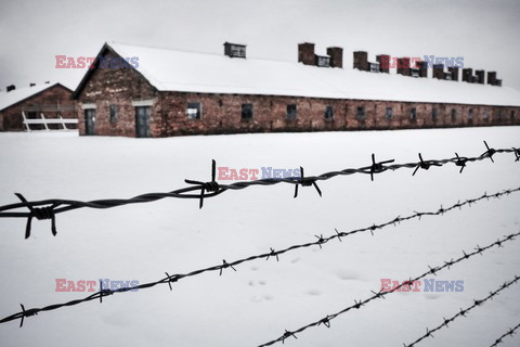 70. rocznica wyzwolenia Obozu koncentracyjnego Auschwitz Birkenau