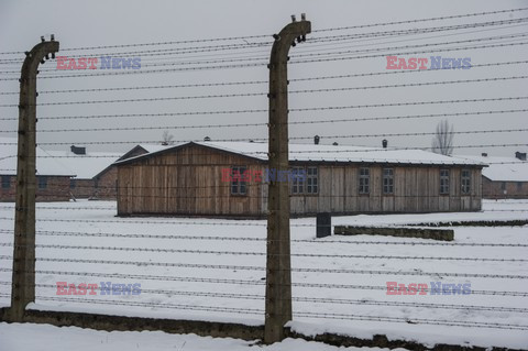 70. rocznica wyzwolenia Obozu koncentracyjnego Auschwitz Birkenau