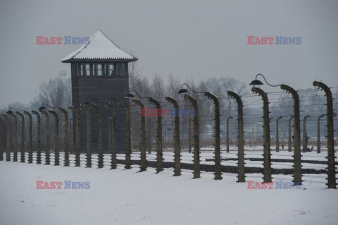 70. rocznica wyzwolenia Obozu koncentracyjnego Auschwitz Birkenau