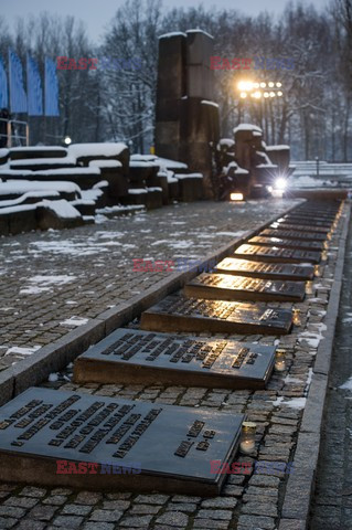 70. rocznica wyzwolenia Obozu koncentracyjnego Auschwitz Birkenau