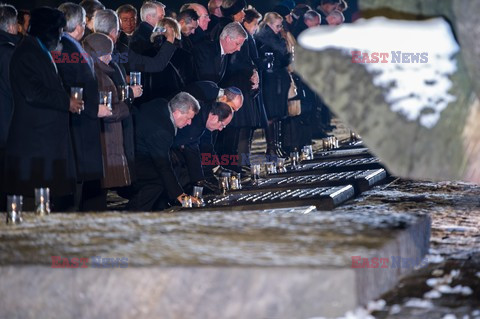 70. rocznica wyzwolenia Obozu koncentracyjnego Auschwitz Birkenau