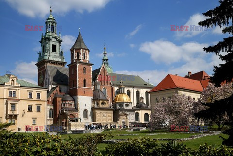 Polska Monk