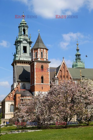 Polska Monk