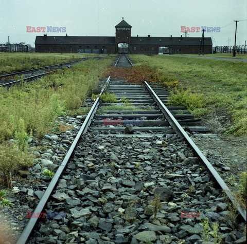 Auschwitz-Birkenau WMZ