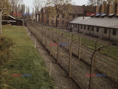 Auschwitz-Birkenau WMZ