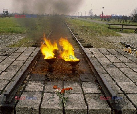 Auschwitz-Birkenau WMZ