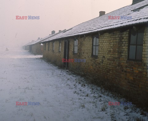 Auschwitz-Birkenau WMZ