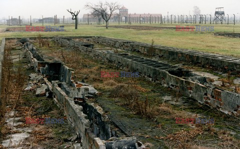 Auschwitz-Birkenau WMZ