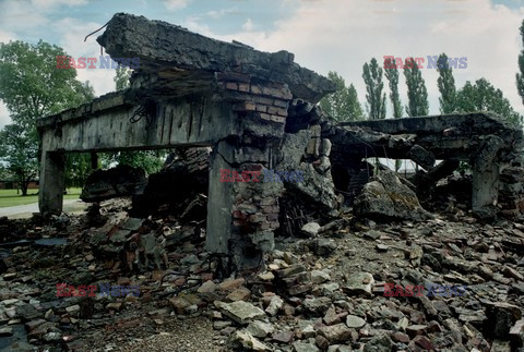 Auschwitz-Birkenau WMZ