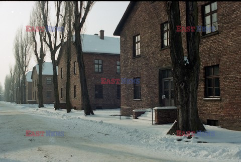 Auschwitz-Birkenau WMZ