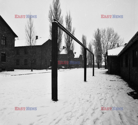 Auschwitz-Birkenau WMZ