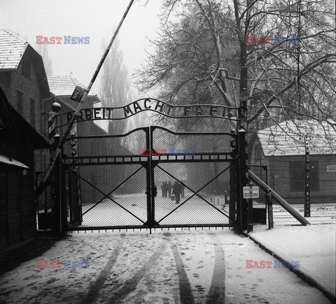 Auschwitz-Birkenau WMZ