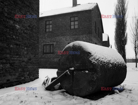 Auschwitz-Birkenau WMZ