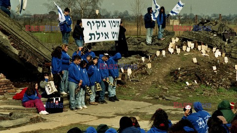 Auschwitz-Birkenau WMZ