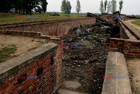 Auschwitz-Birkenau WMZ