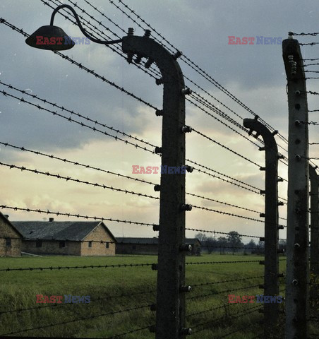 Auschwitz-Birkenau WMZ