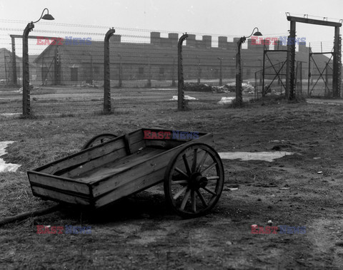 Auschwitz-Birkenau WMZ