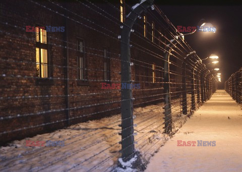 Auschwitz-Birkenau WMZ