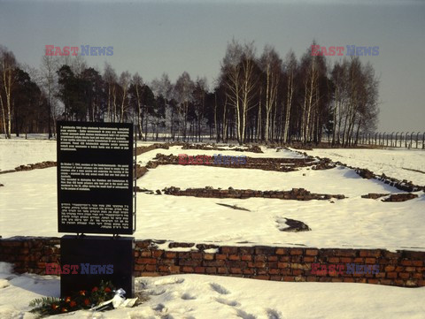 Auschwitz-Birkenau WMZ