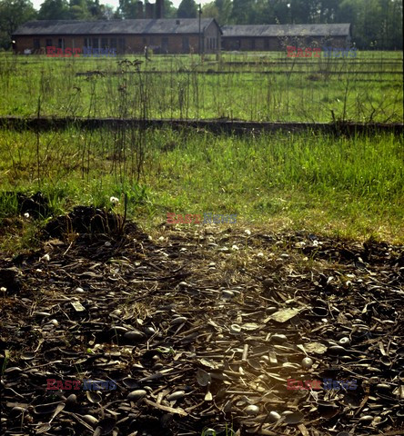 Auschwitz-Birkenau WMZ