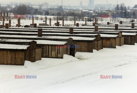 Auschwitz-Birkenau WMZ