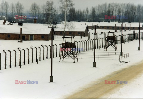 Auschwitz-Birkenau WMZ