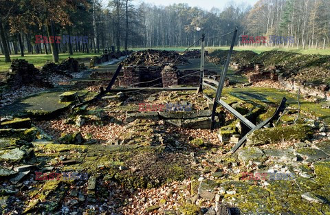 Auschwitz-Birkenau WMZ