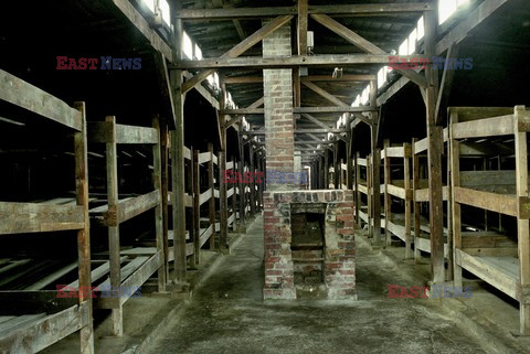 Auschwitz-Birkenau WMZ