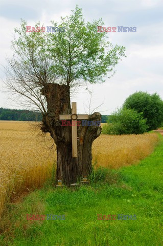 Wielkopolska Marek Bazak