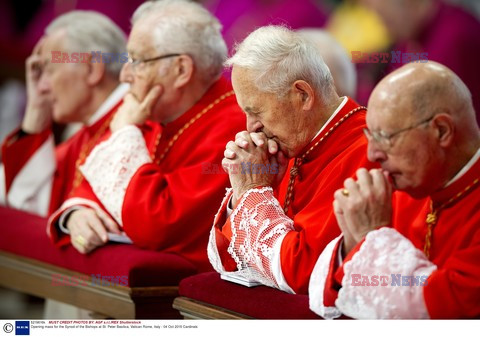 Synod Biskupów o rodzinie