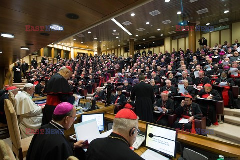 Synod Biskupów o rodzinie