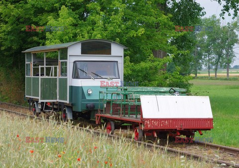 Wielkopolska Marek Bazak