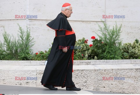 Synod Biskupów o rodzinie