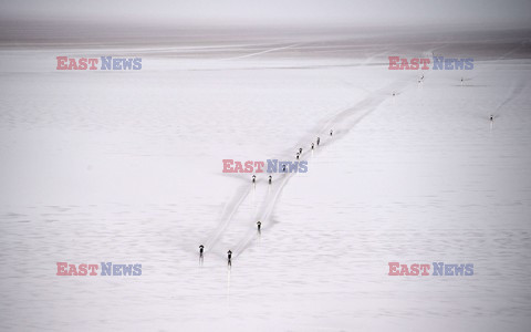 Zdjęcia roku 2015 - AFP 