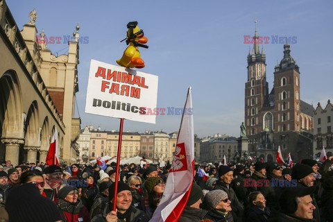 Manifestacje KOD