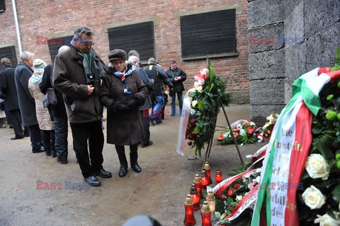 71. Rocznica wyzwolenia Obozu koncentracyjnego Auschwitz Birkenau