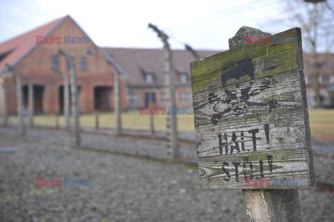 71. Rocznica wyzwolenia Obozu koncentracyjnego Auschwitz Birkenau