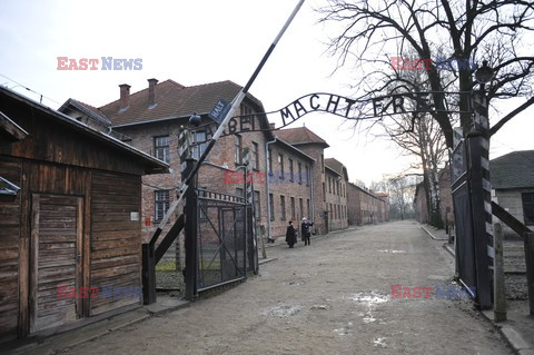 71. Rocznica wyzwolenia Obozu koncentracyjnego Auschwitz Birkenau