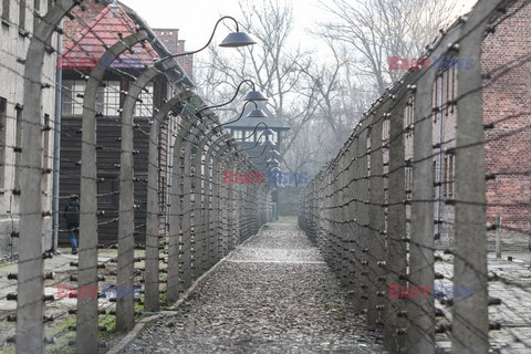 71. Rocznica wyzwolenia Obozu koncentracyjnego Auschwitz Birkenau