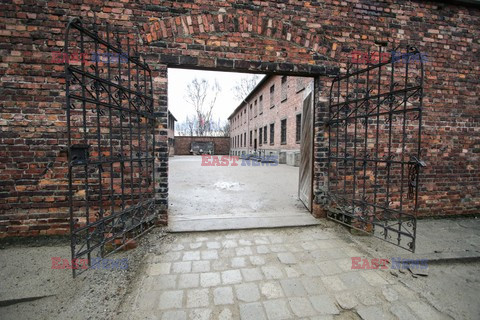 71. Rocznica wyzwolenia Obozu koncentracyjnego Auschwitz Birkenau